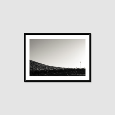 One Fan Framed Print